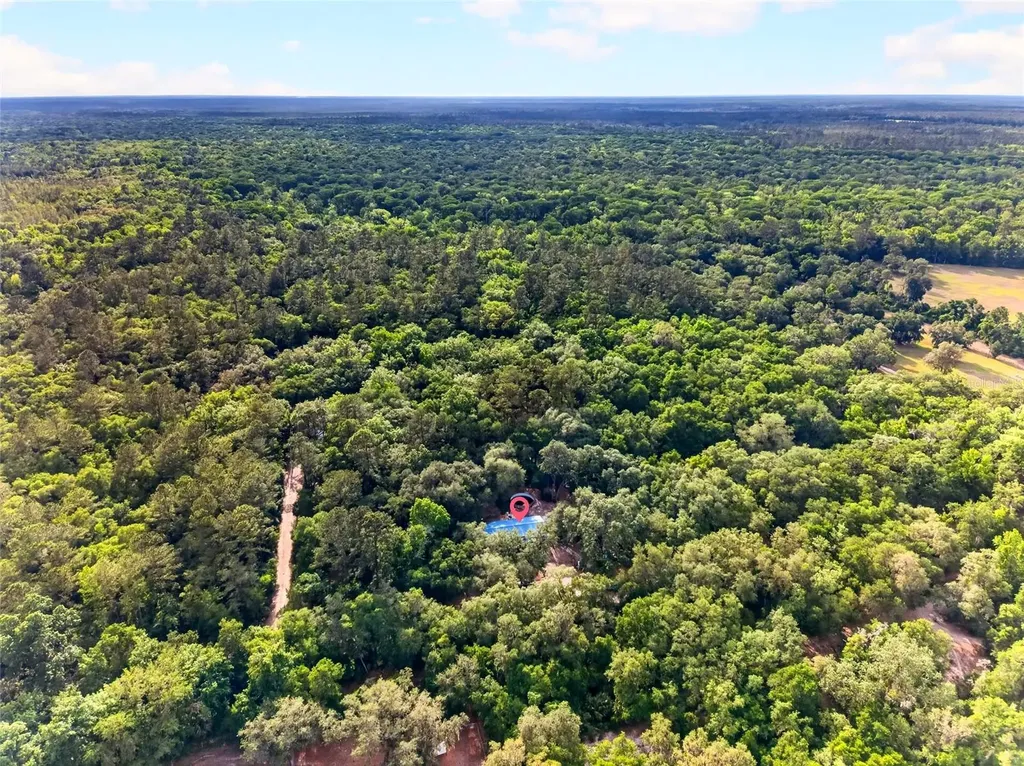 9190 NE 144th Terrace Silver Springs FL 34488