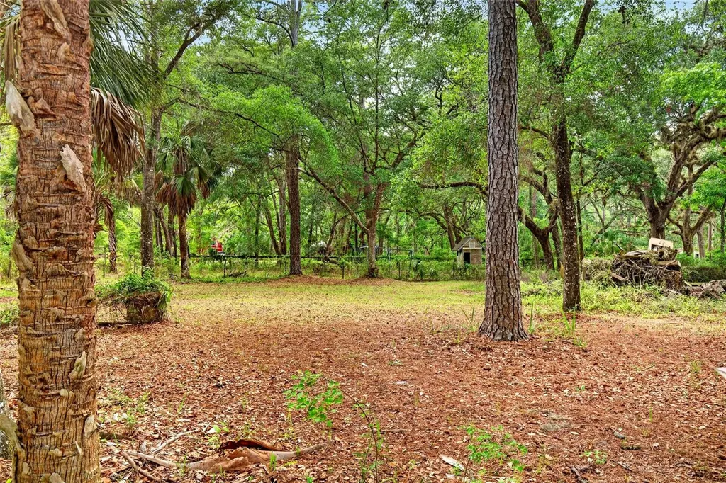 9190 NE 144th Terrace Silver Springs FL 34488