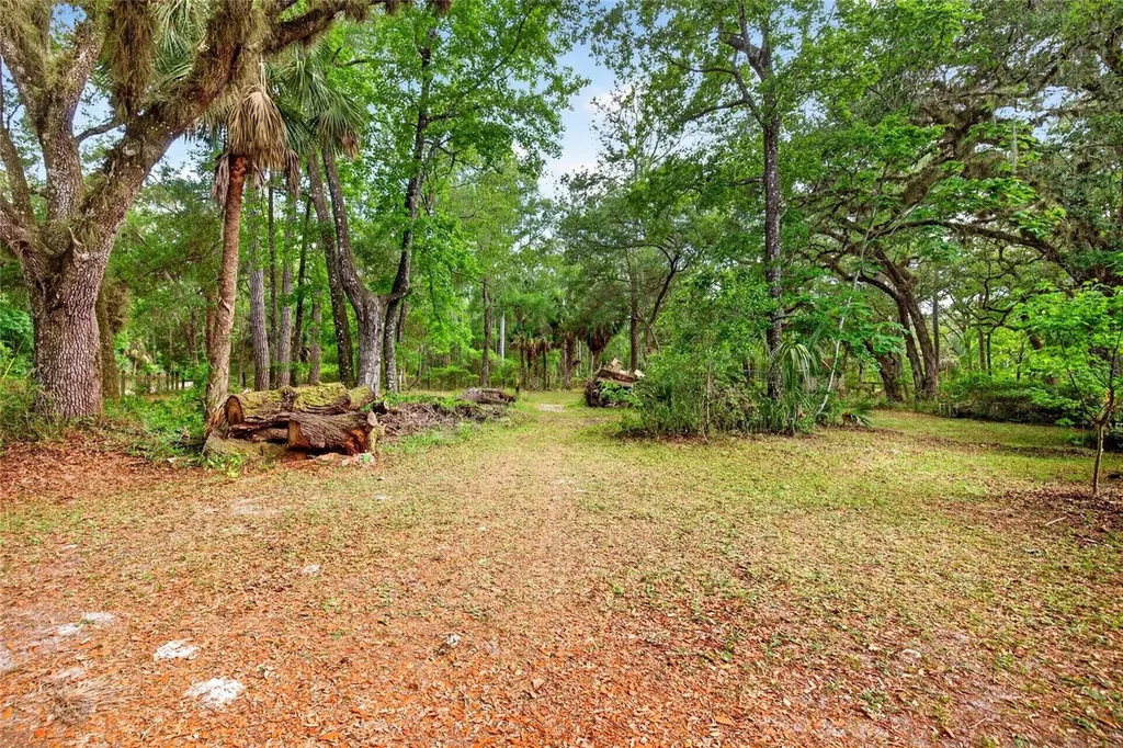 9190 NE 144th Terrace Silver Springs FL 34488
