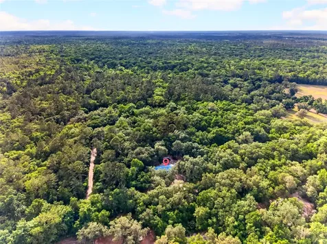 9190 NE 144th Terrace Silver Springs FL 34488