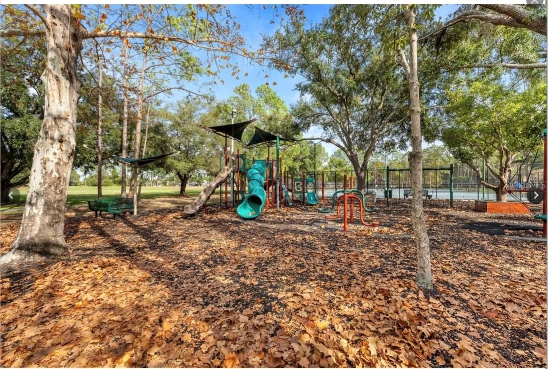 9481 Highland Oak Drive Tampa FL 33647