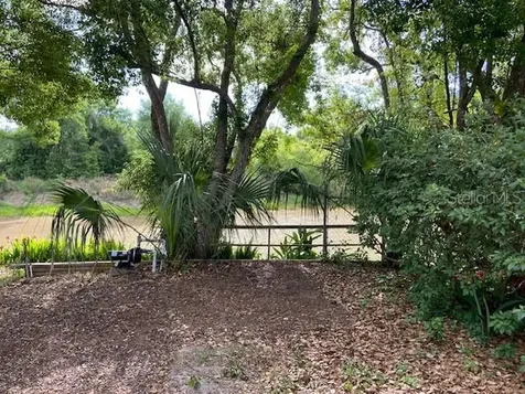 17499 Hanna Road Lutz FL 33549