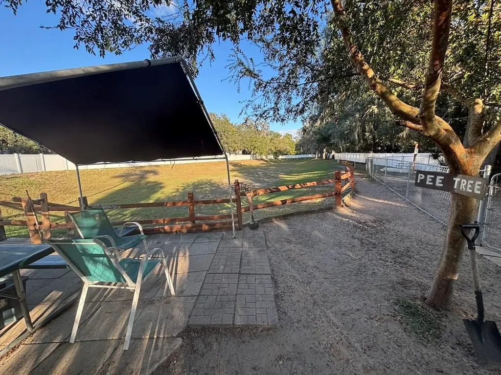 25316 140th Place NE Salt Springs FL 32134
