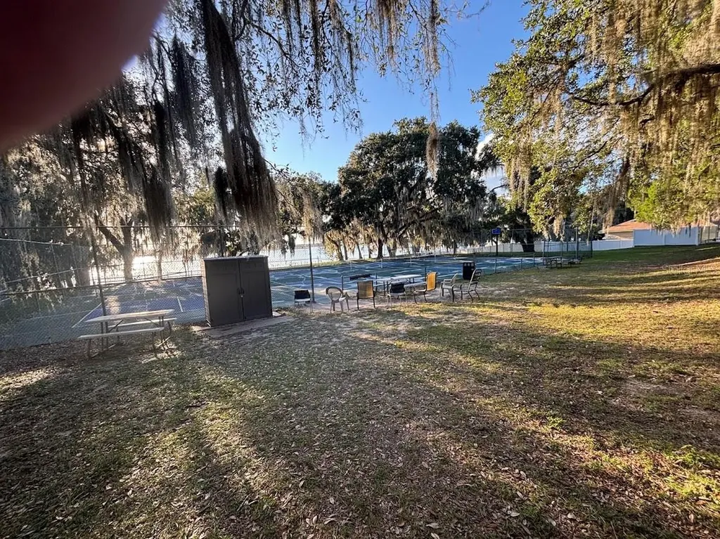 25316 140th Place NE Salt Springs FL 32134