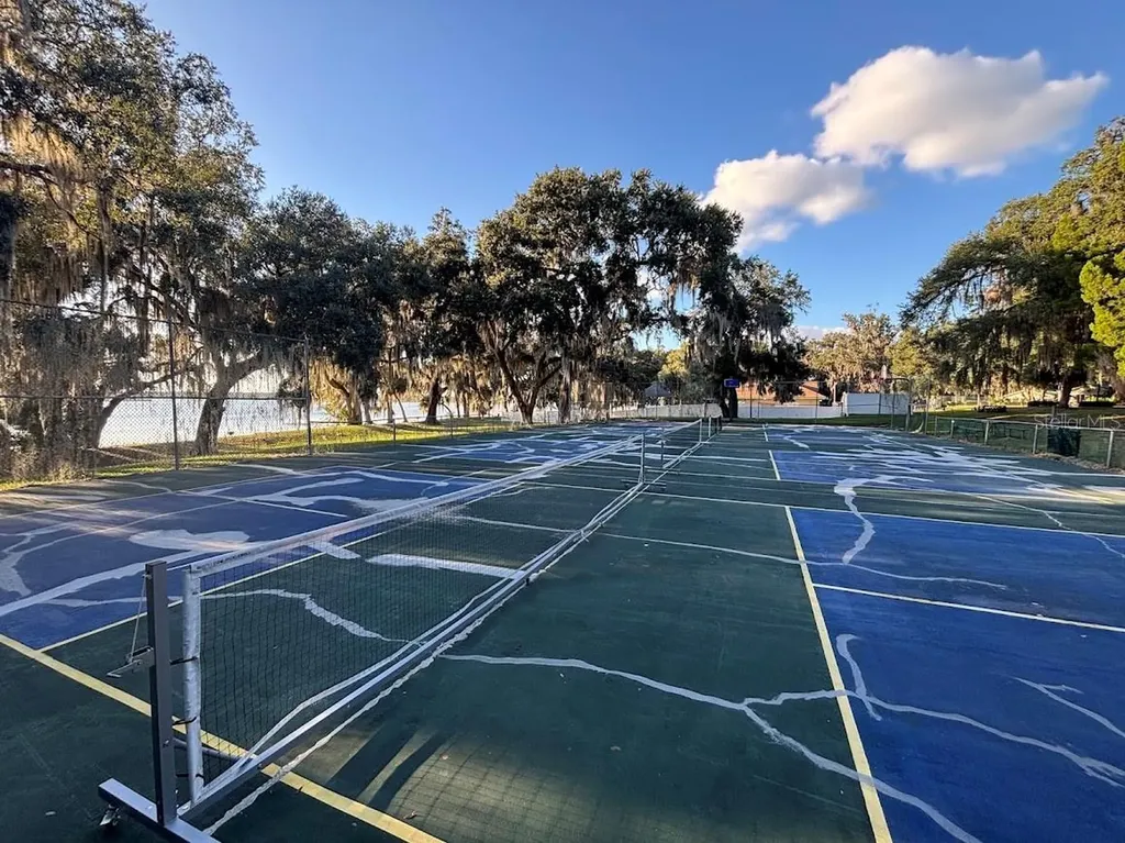 25316 140th Place NE Salt Springs FL 32134