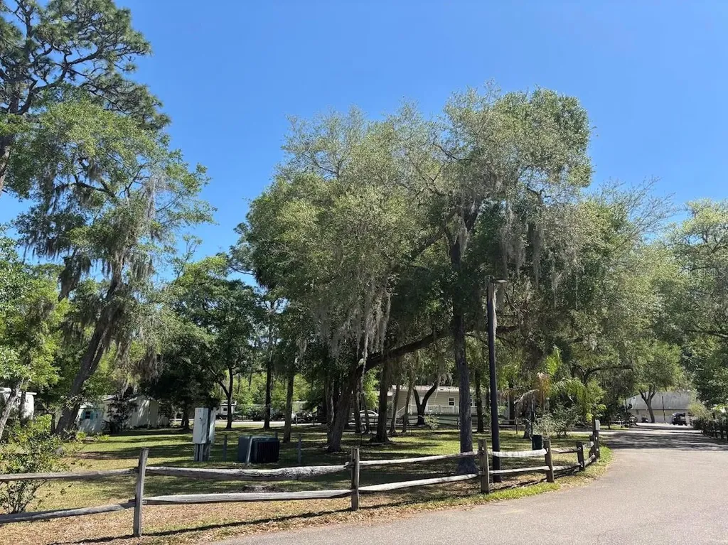 25316 140th Place NE Salt Springs FL 32134