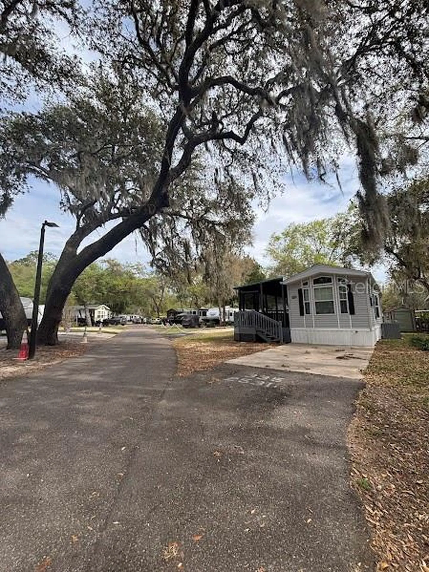 25316 140th Place NE Salt Springs FL 32134