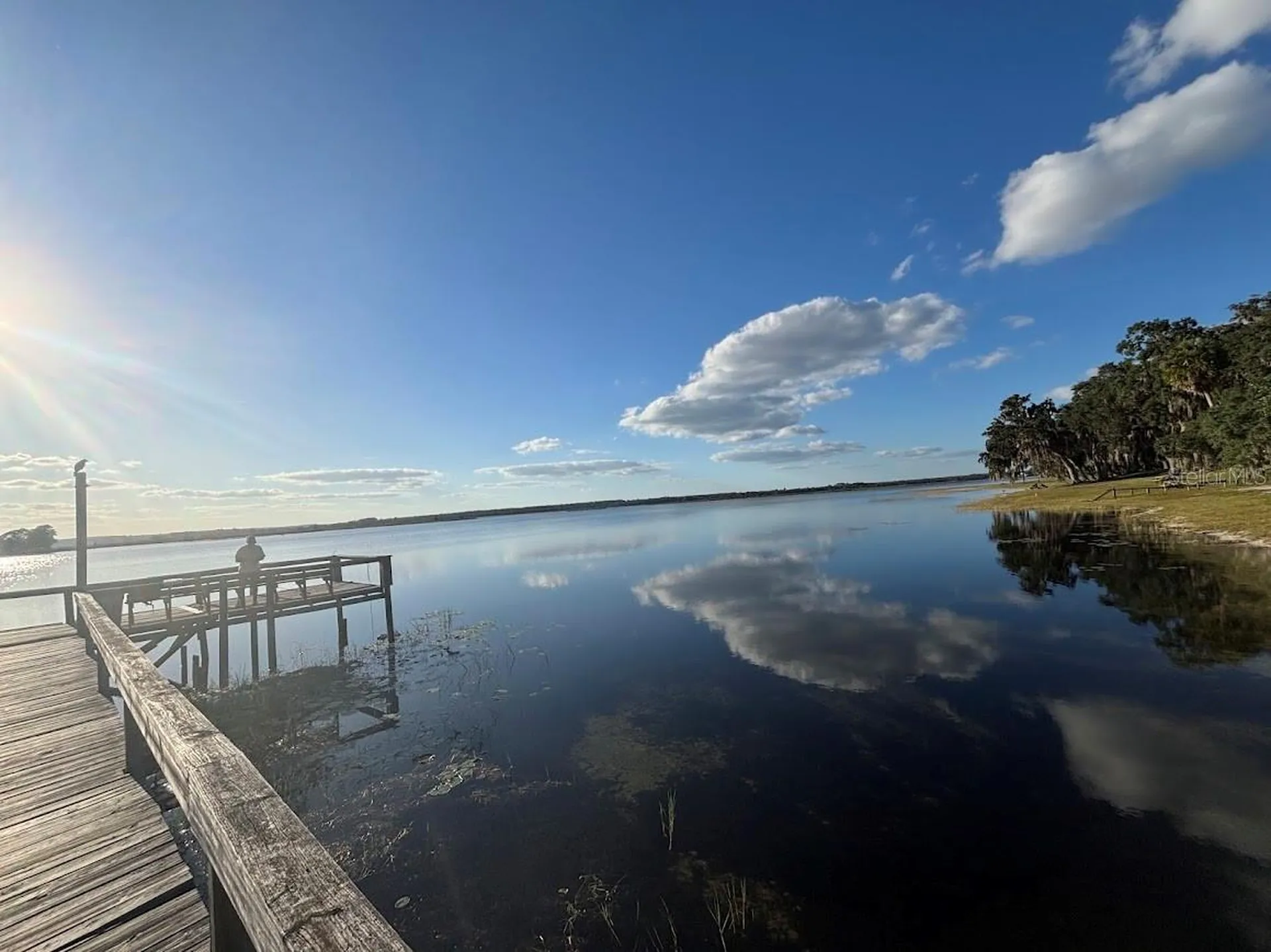 25316 140th Place NE Salt Springs FL 32134