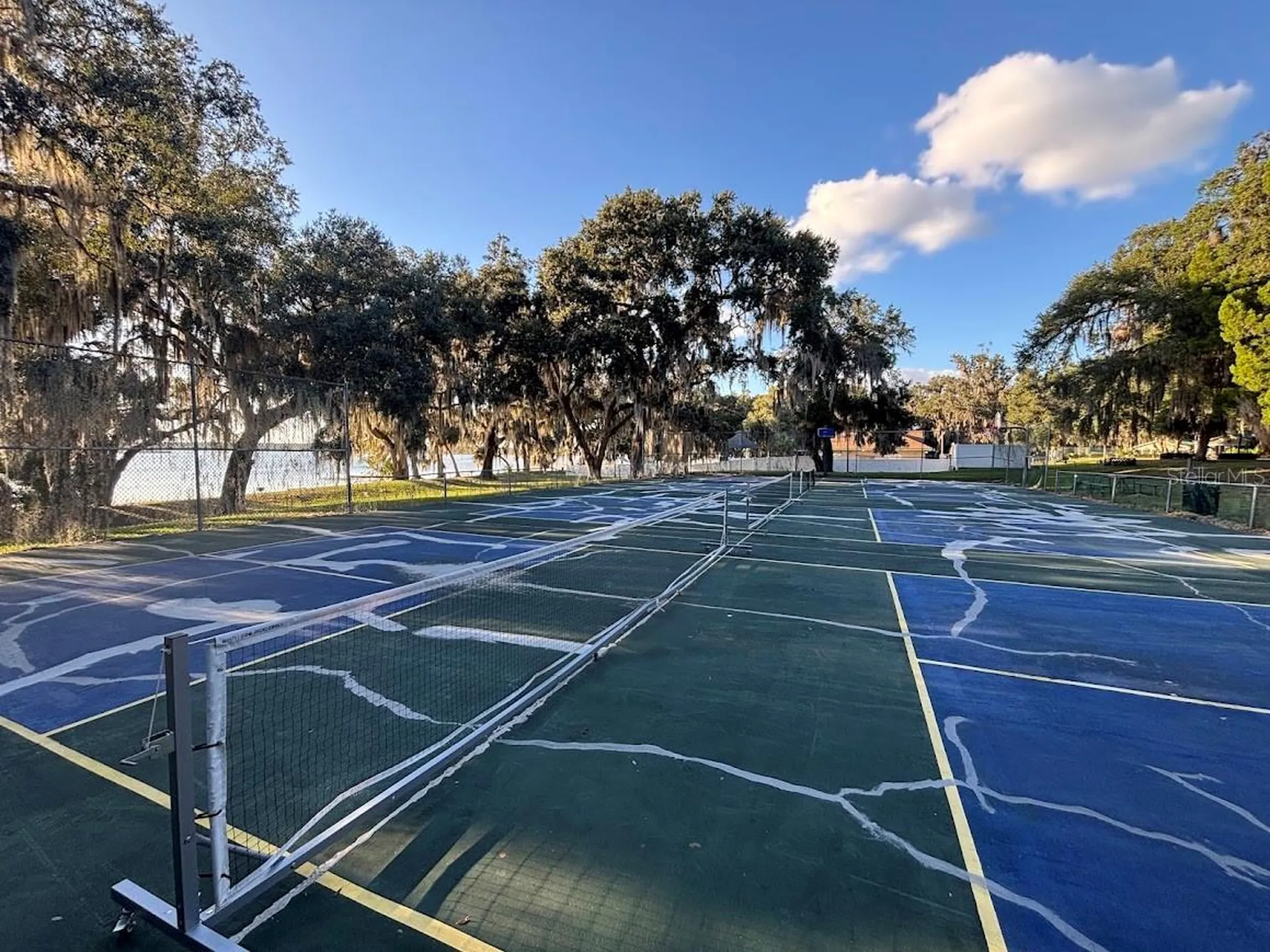 25316 140th Place NE Salt Springs FL 32134