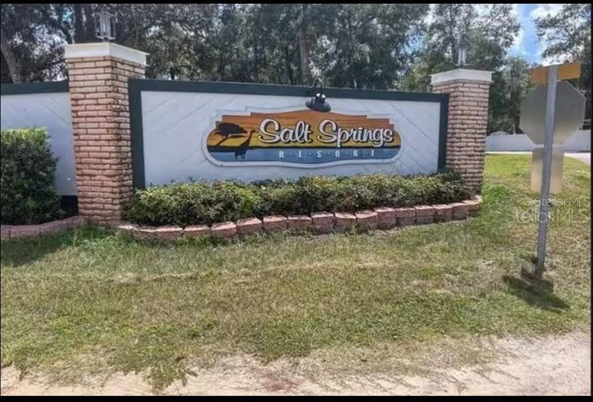 25316 140th Place NE Salt Springs FL 32134