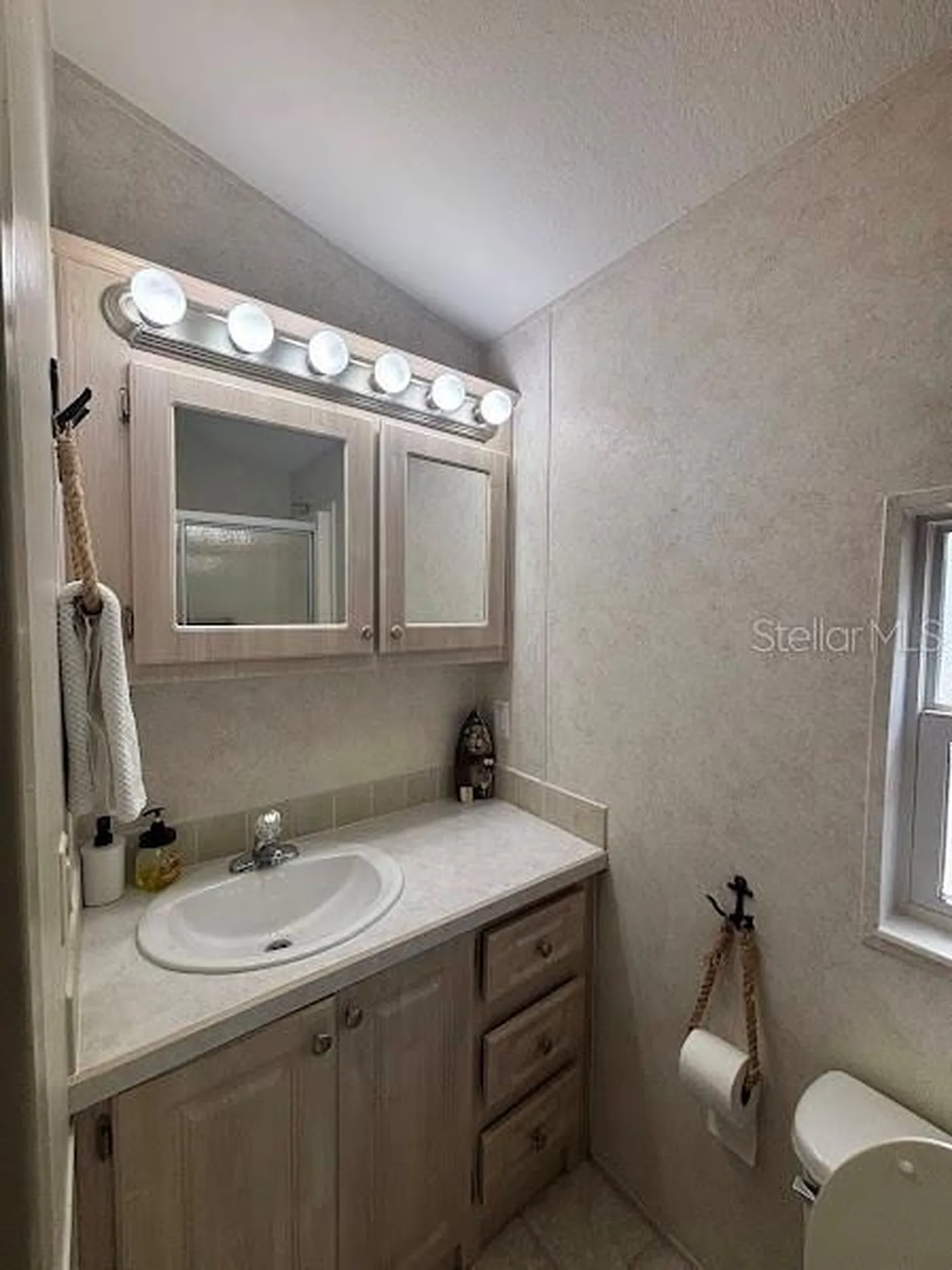 25316 140th Place NE Salt Springs FL 32134