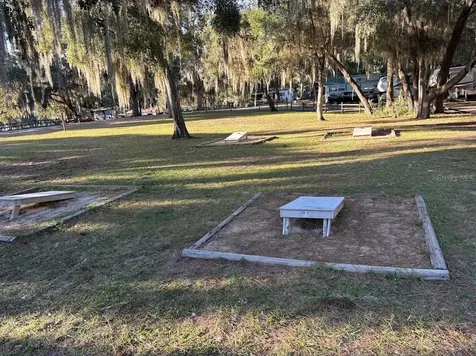 25316 140th Place NE Salt Springs FL 32134