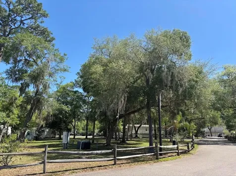 25316 140th Place NE Salt Springs FL 32134