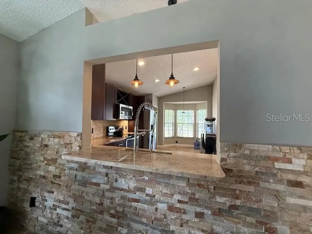 10334 Lecon Branch Court Orlando FL 32825