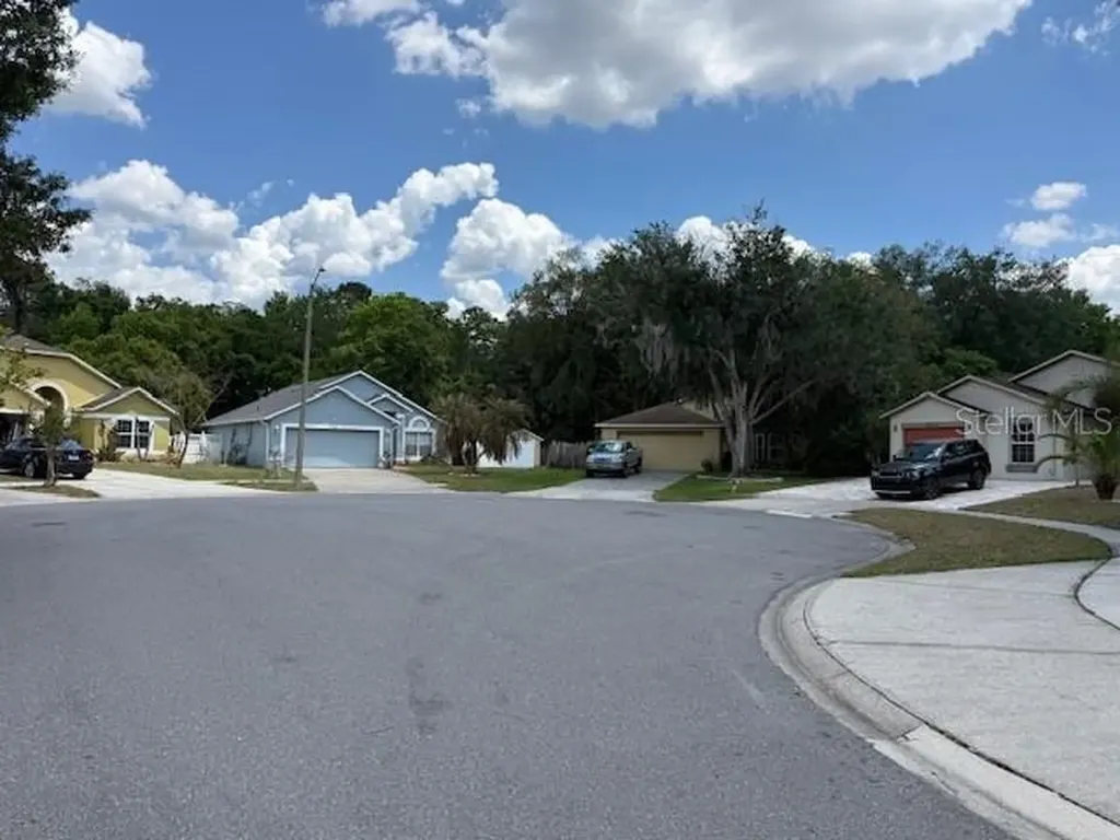 10334 Lecon Branch Court Orlando FL 32825