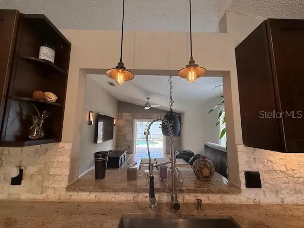 10334 Lecon Branch Court Orlando FL 32825