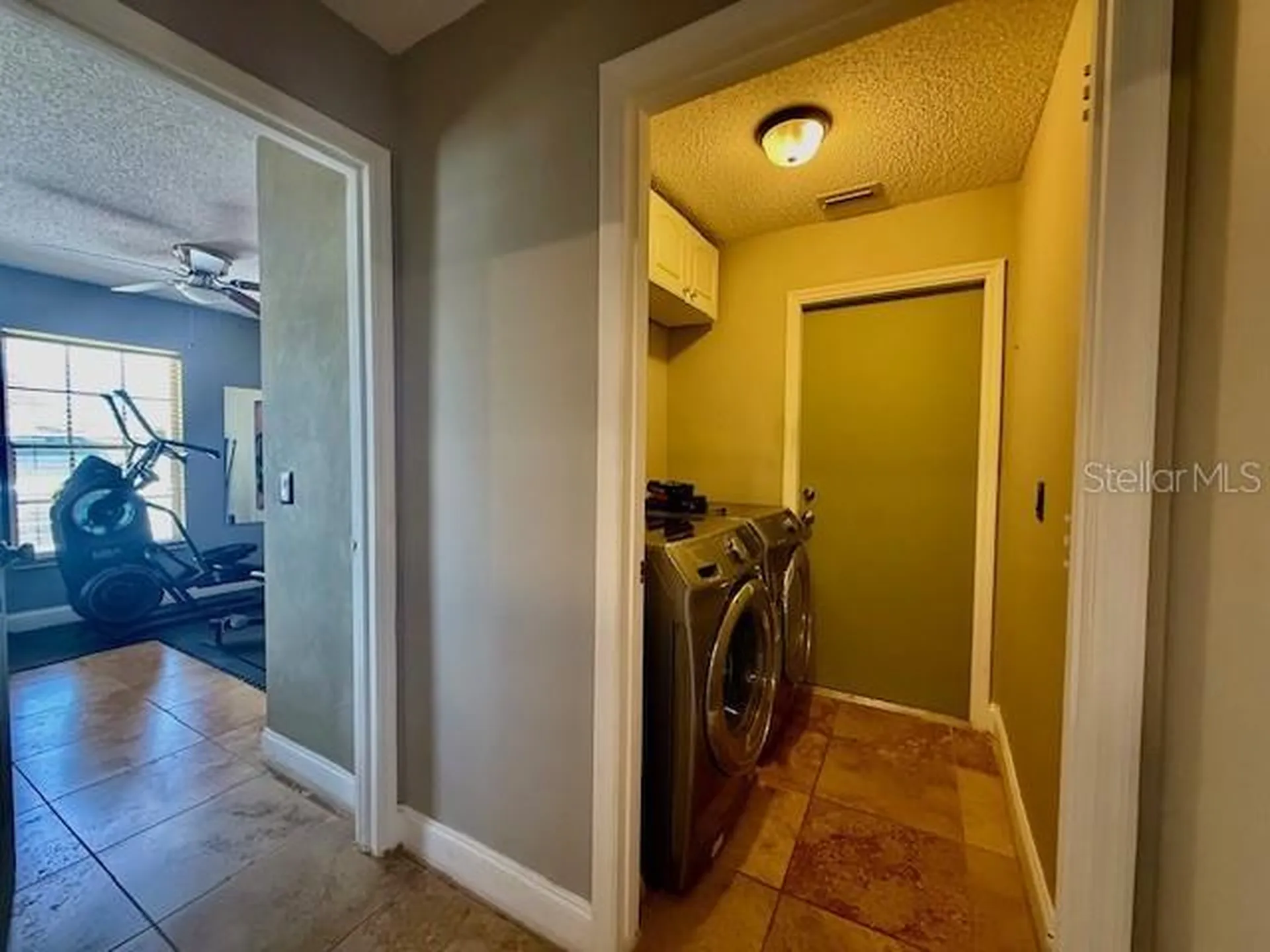10334 Lecon Branch Court Orlando FL 32825