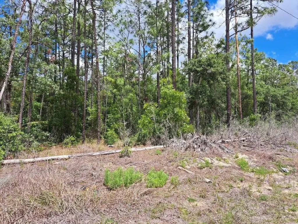 0 SW 64 Street Road Ocala FL 34481