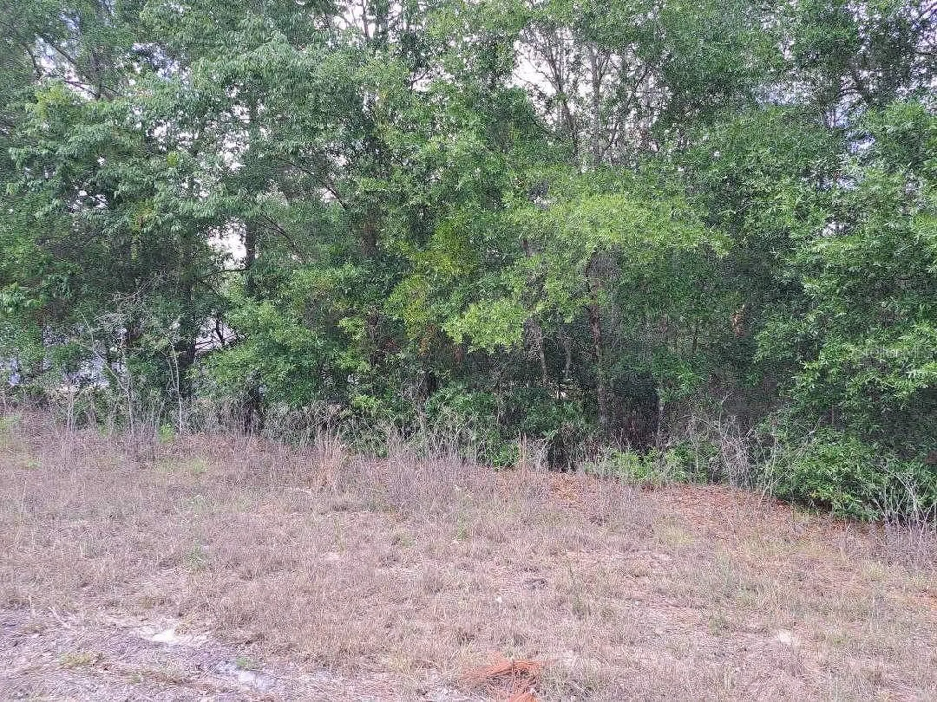 0 SW 64 Street Road Ocala FL 34481