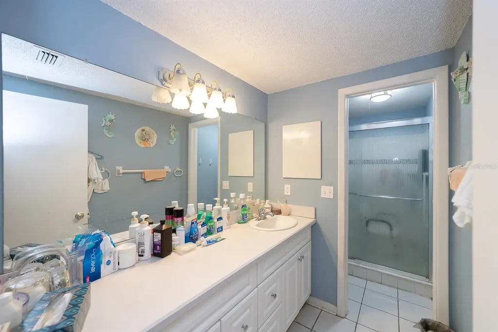 8602 Briar Grove Circle Tampa FL 33615