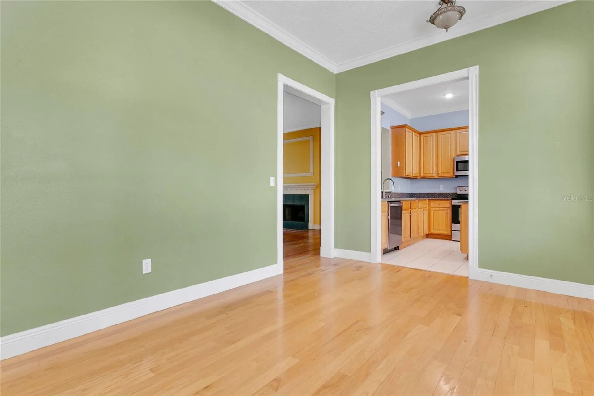 1311 Hilltop Drive Mount Dora FL 32757