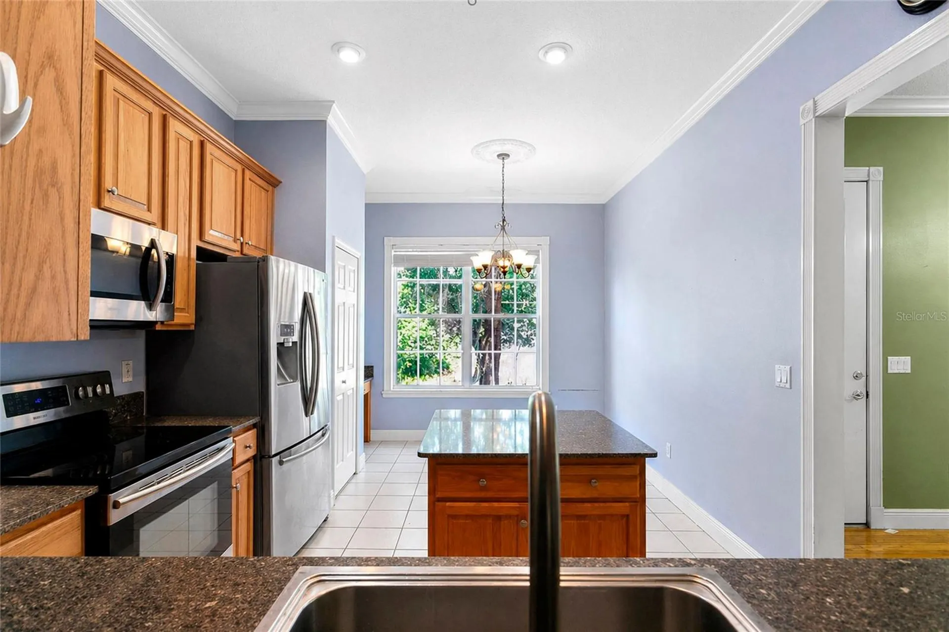 1311 Hilltop Drive Mount Dora FL 32757