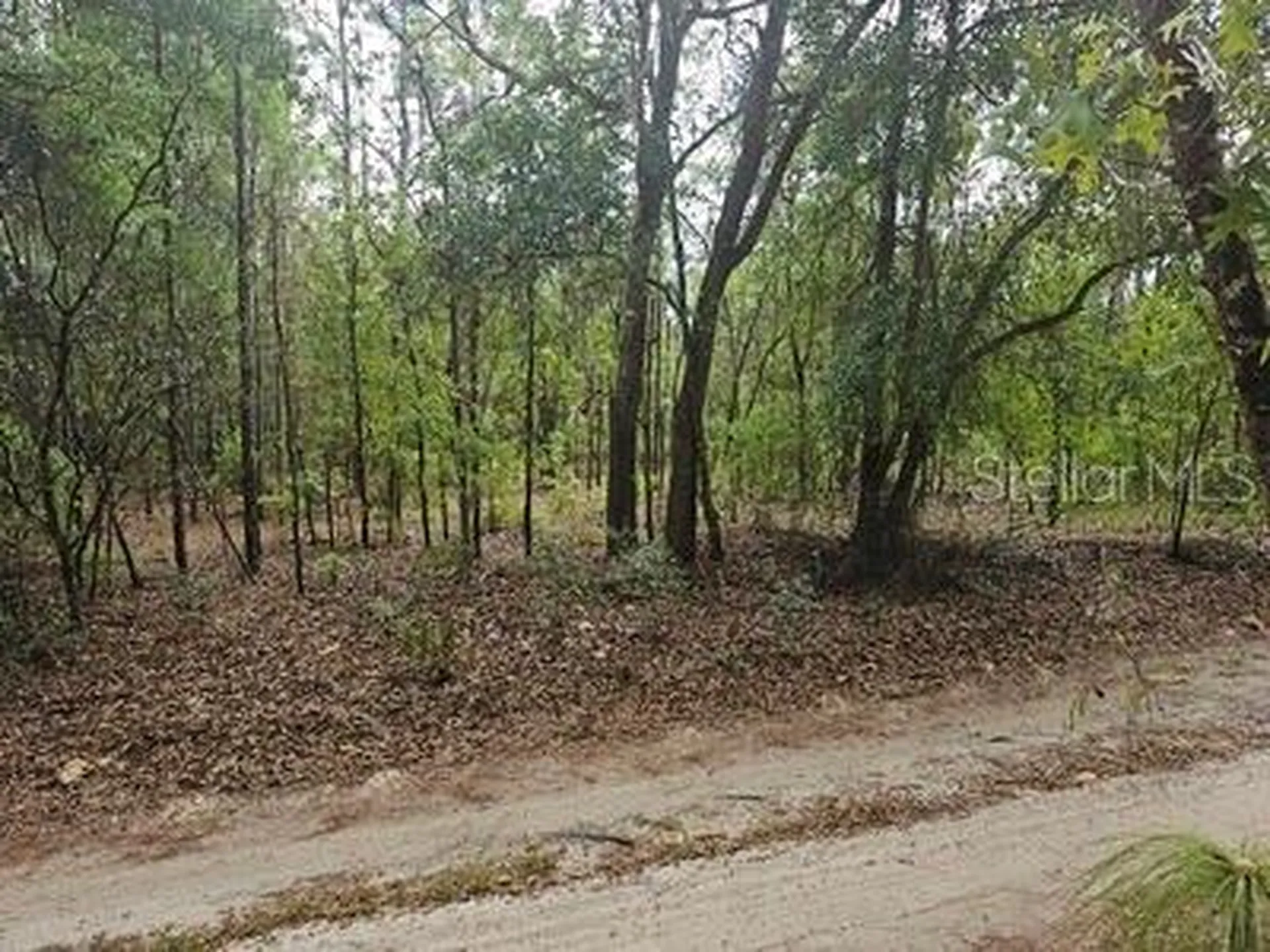 00 SW 90 Street Dunnellon FL 34432