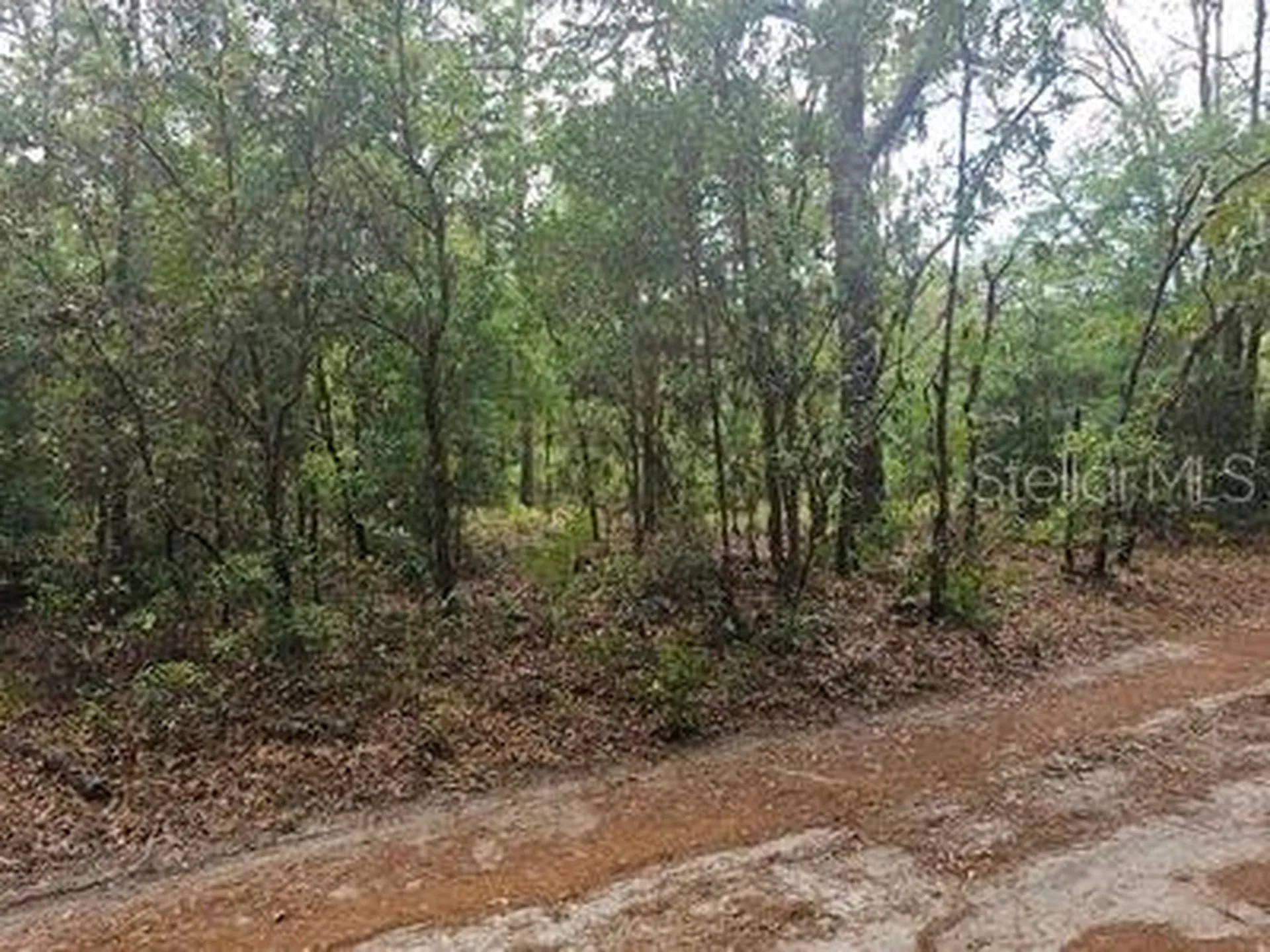 00 SW 90 Street Dunnellon FL 34432