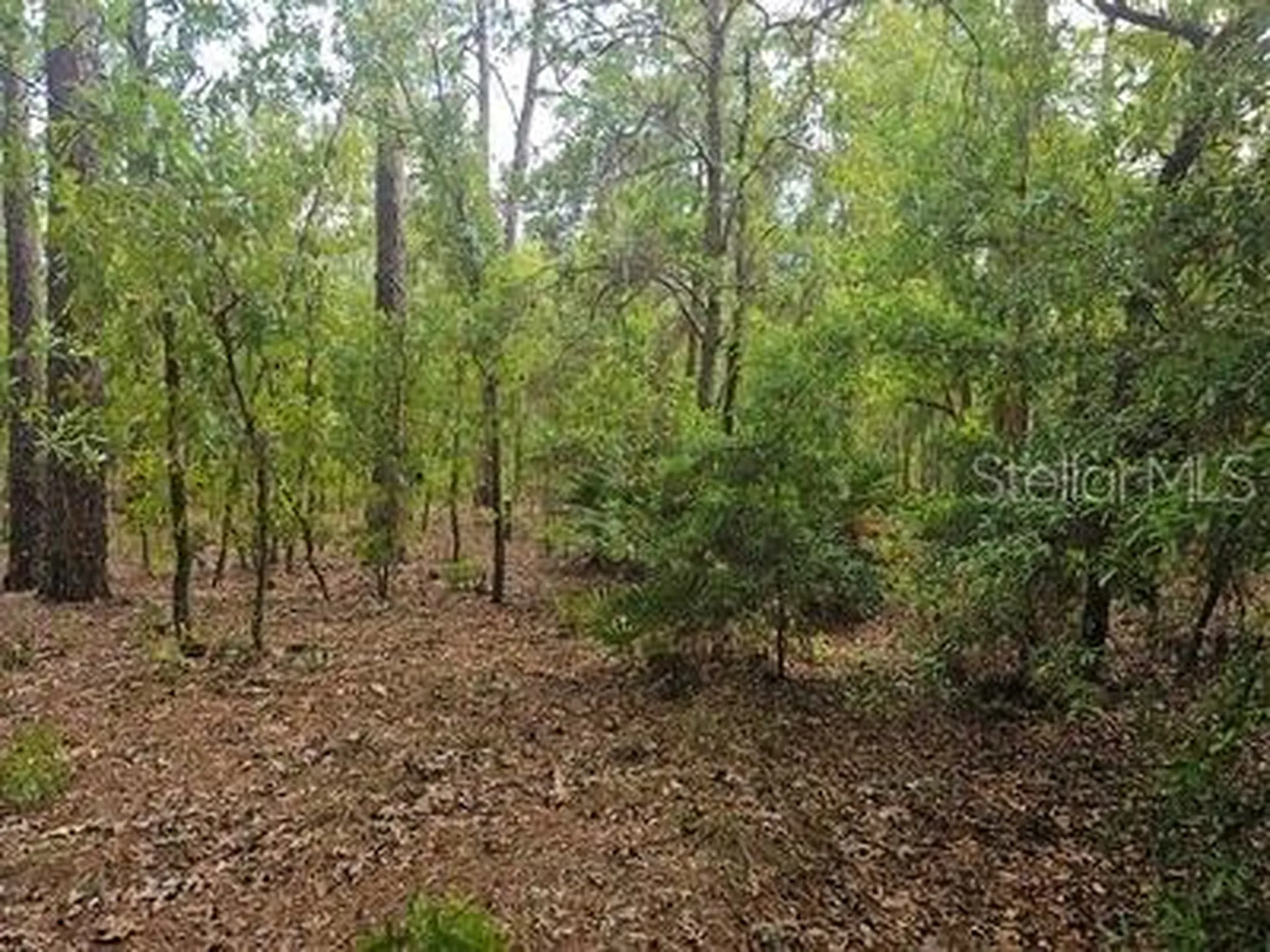 00 SW 90 Street Dunnellon FL 34432