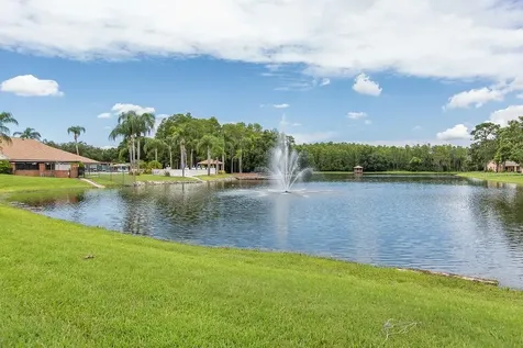 9058 Arundle Place New Port Richey FL 34655