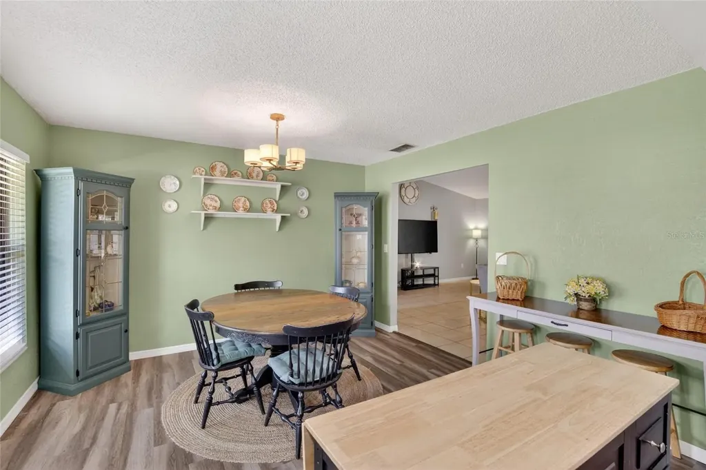 3734 Opal Drive Mulberry FL 33860