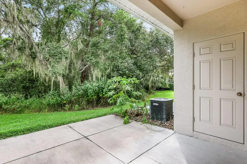 15807 Fishhawk Falls Drive Lithia FL 33547