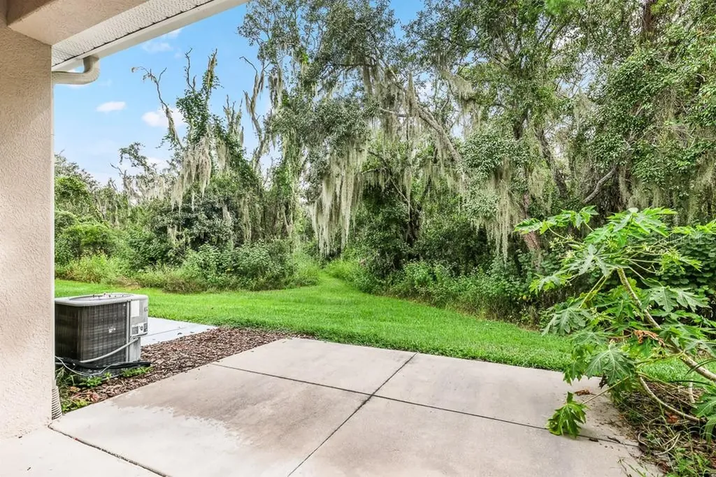 15807 Fishhawk Falls Drive Lithia FL 33547