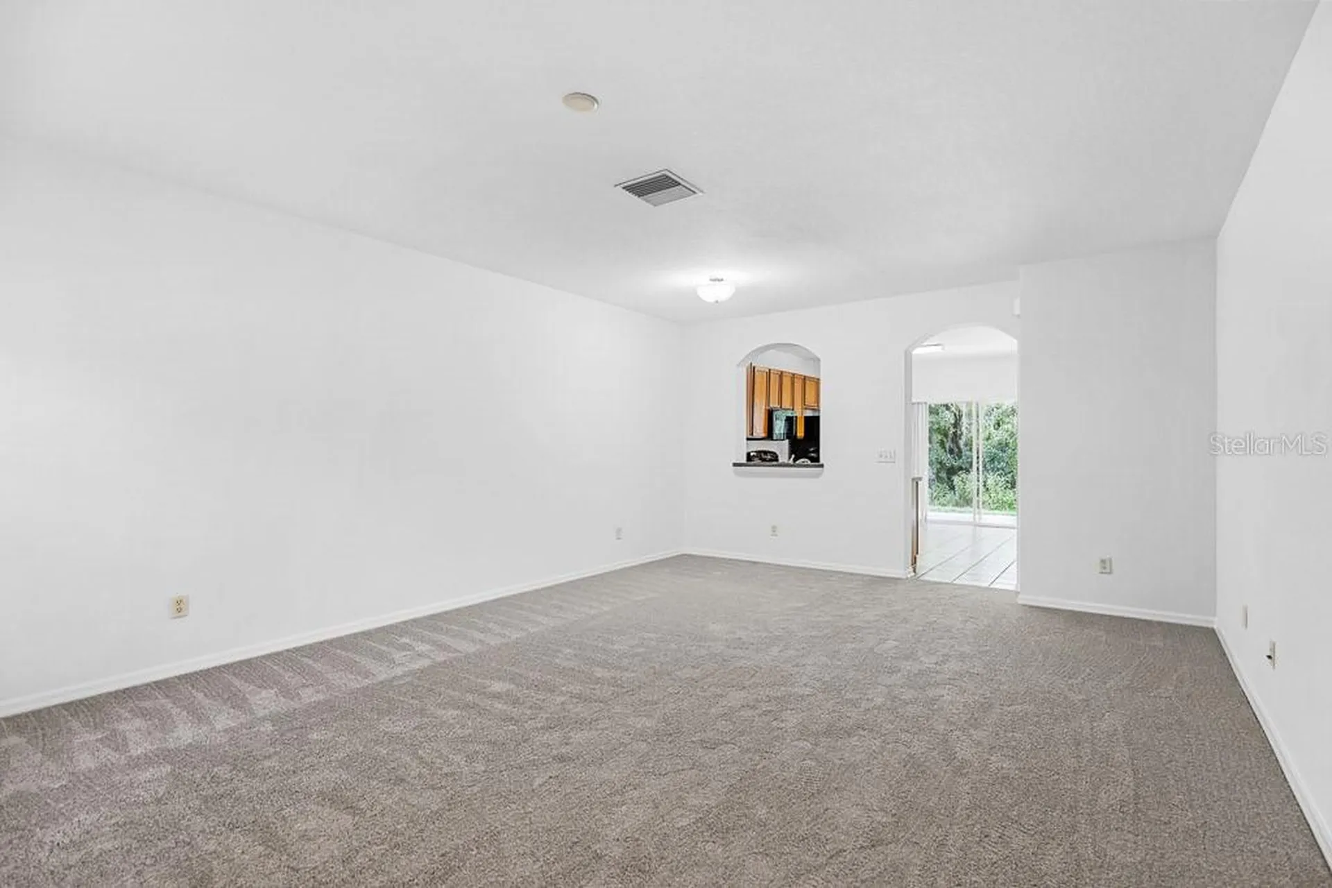 15807 Fishhawk Falls Drive Lithia FL 33547