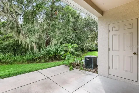 15807 Fishhawk Falls Drive Lithia FL 33547