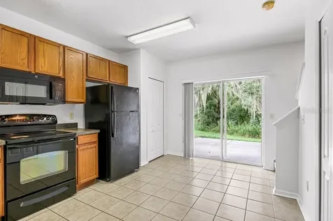 15807 Fishhawk Falls Drive Lithia FL 33547