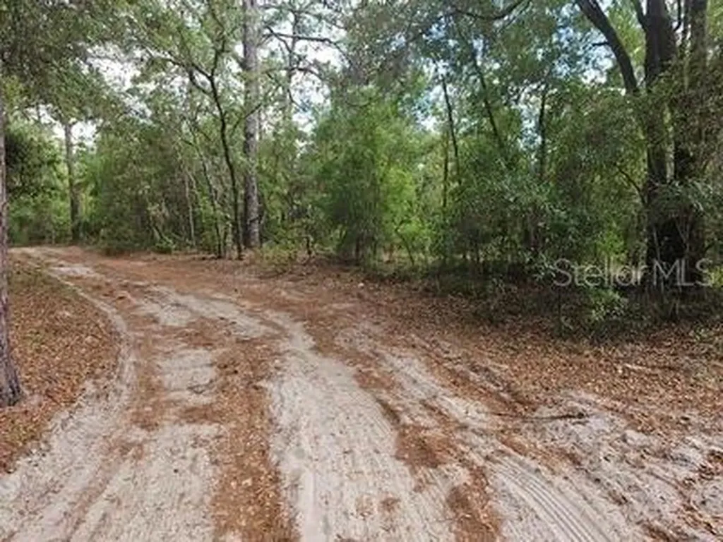 0 SW 90 Dunnellon FL 34432