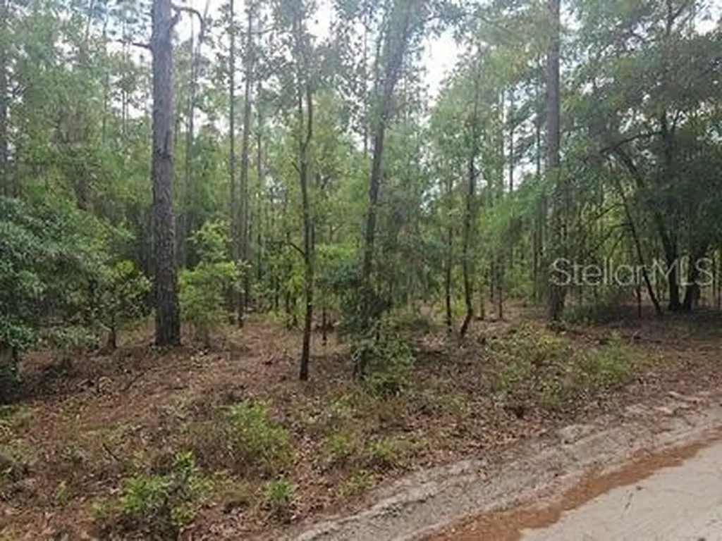 0 SW 90 Dunnellon FL 34432