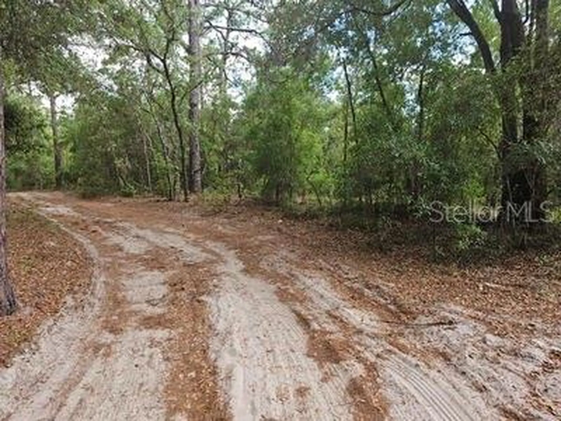 0 SW 90 Dunnellon FL 34432
