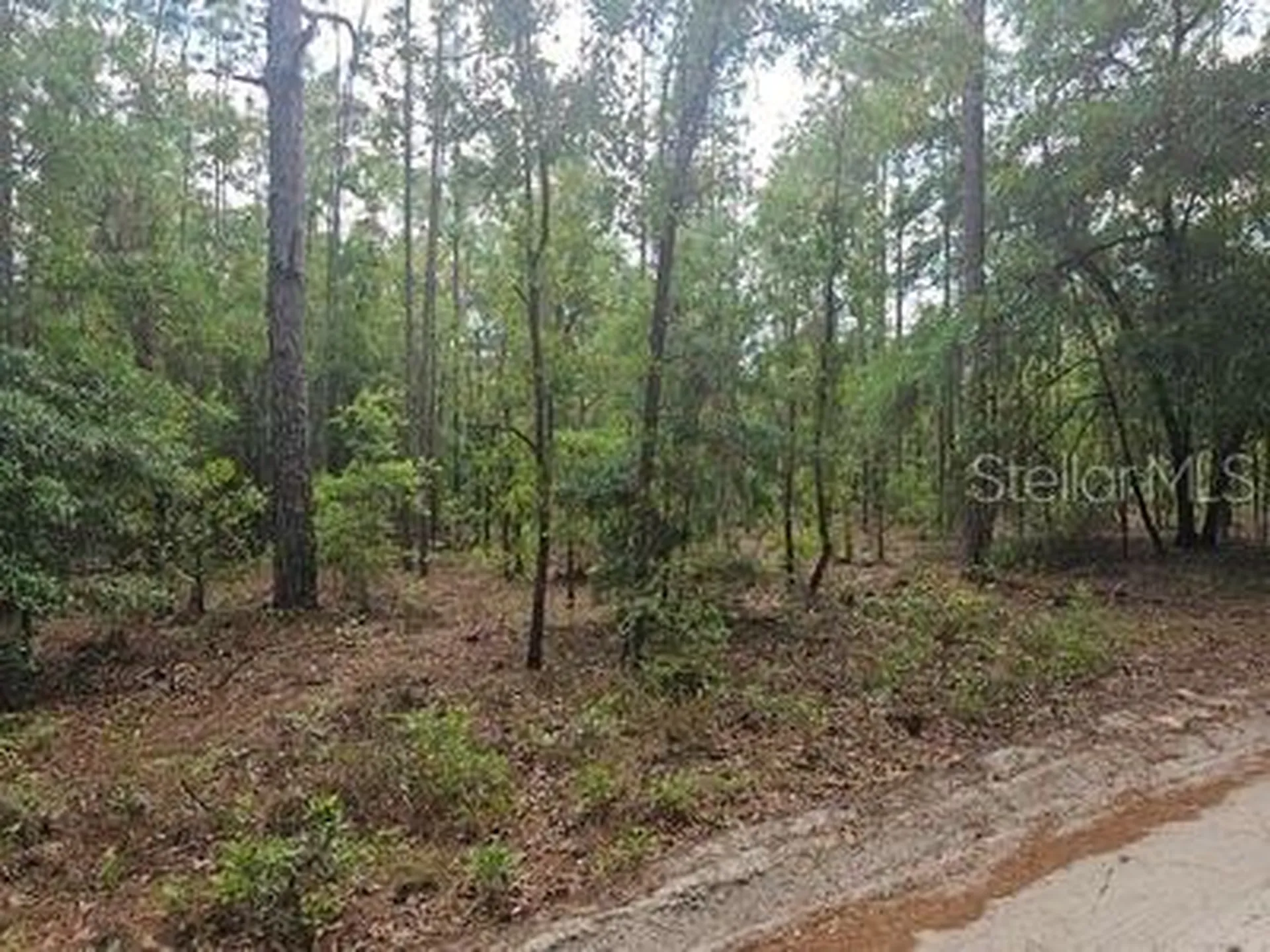 0 SW 90 Dunnellon FL 34432