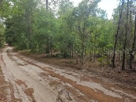 0 SW 90 Dunnellon FL 34432