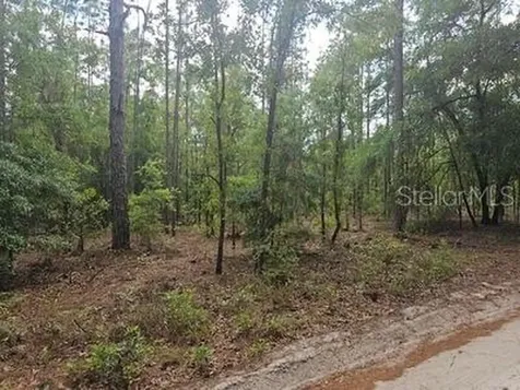 0 SW 90 Dunnellon FL 34432