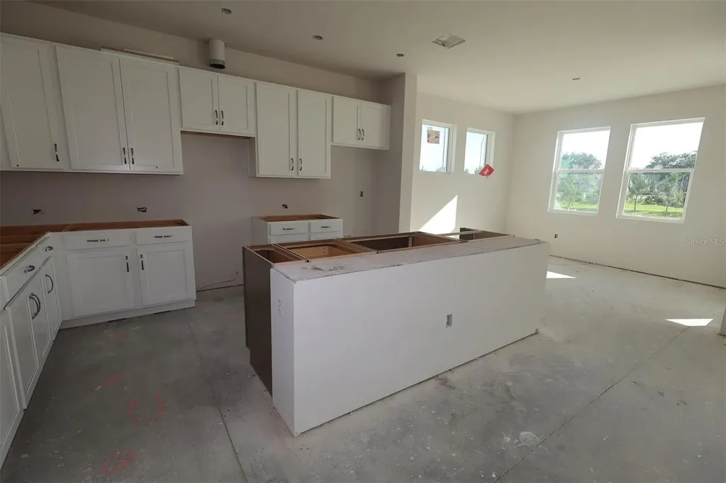 31142 Pendleton Landing Circle Wesley Chapel FL 33545