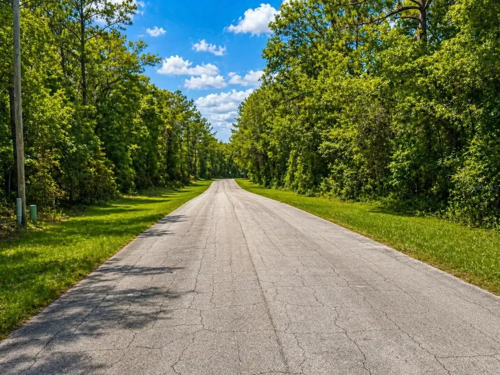 361 E Elgrove Drive Citrus Springs FL 34434