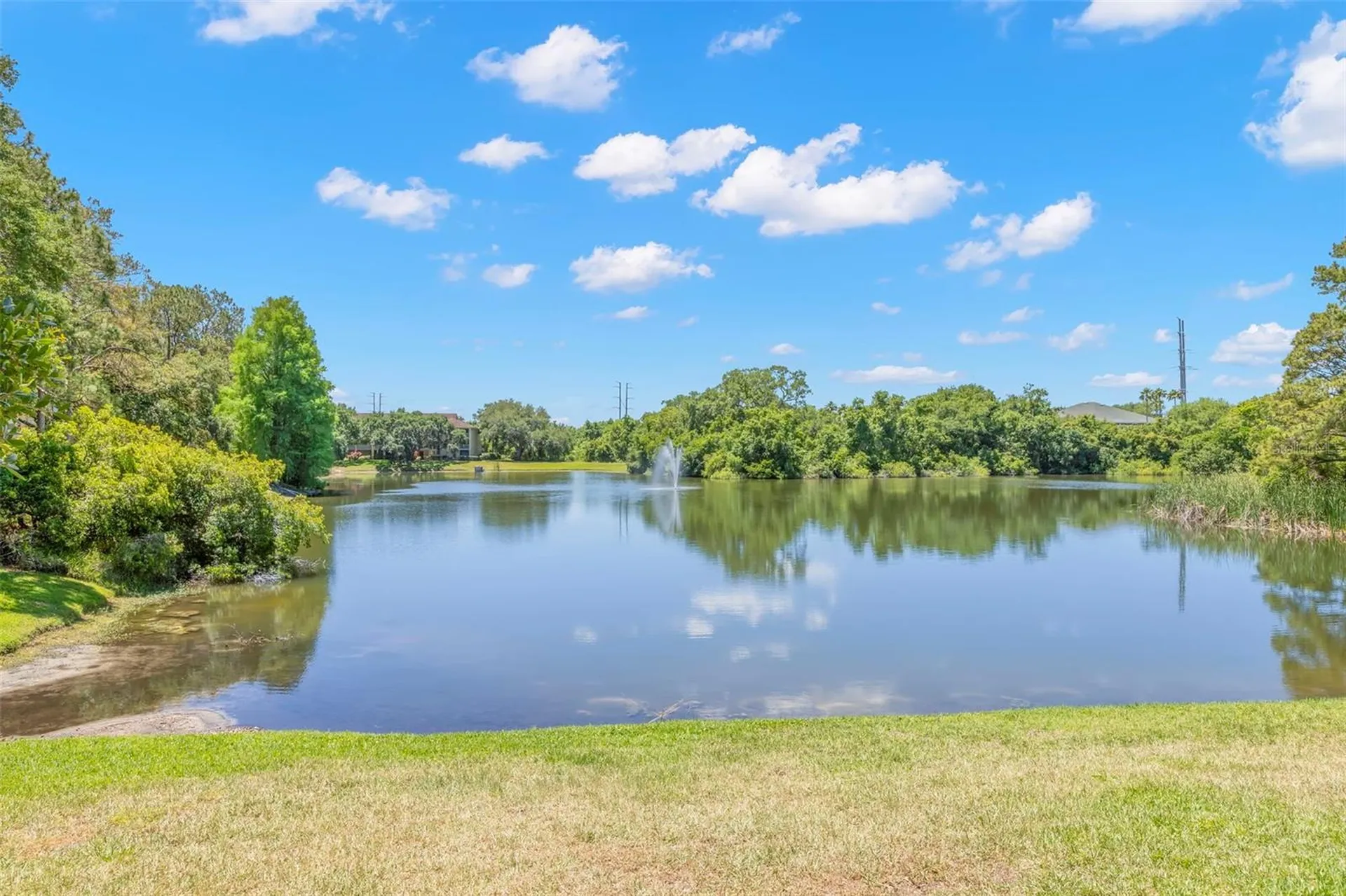 2690 Coral Landings Boulevard Palm Harbor FL 34684