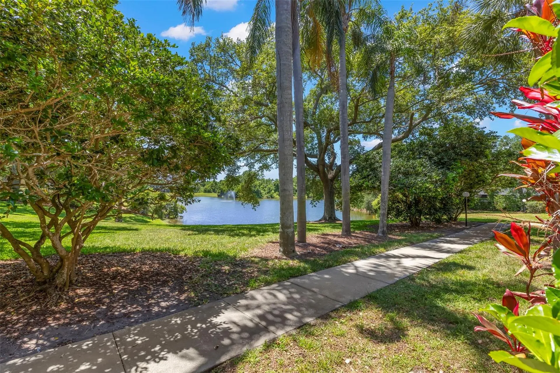 2690 Coral Landings Boulevard Palm Harbor FL 34684