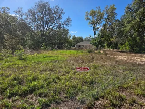 26 Fisher Way Trail Ocklawaha FL 32179