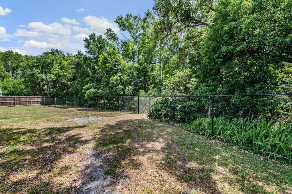 4218 Summerdale Drive Tampa FL 33624
