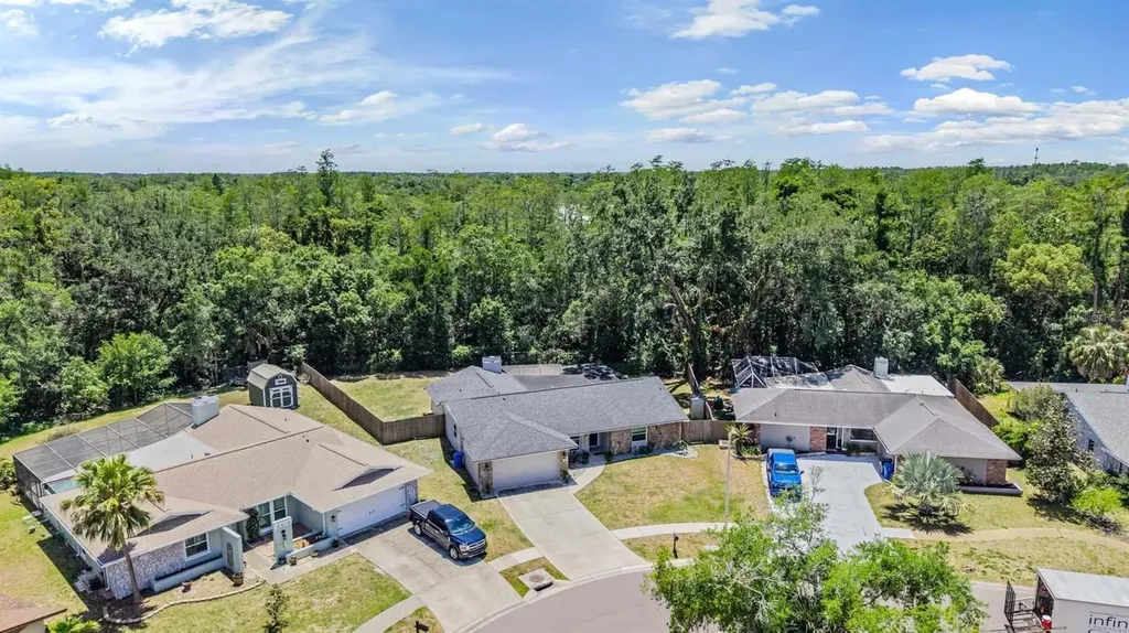 4218 Summerdale Drive Tampa FL 33624