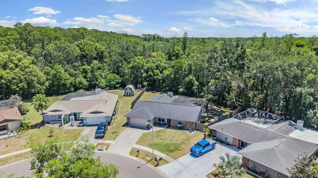 4218 Summerdale Drive Tampa FL 33624